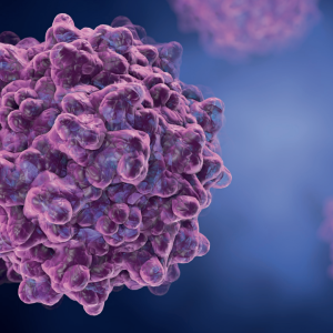 AAV Capsid Purification