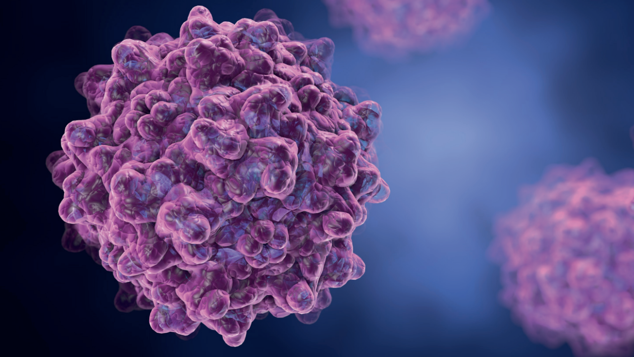 AAV Capsid Purification