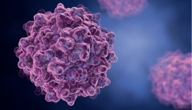AAV Capsid Purification
